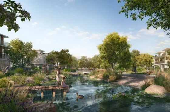 Avelia The Valley